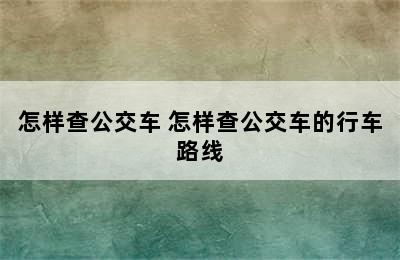 怎样查公交车 怎样查公交车的行车路线
